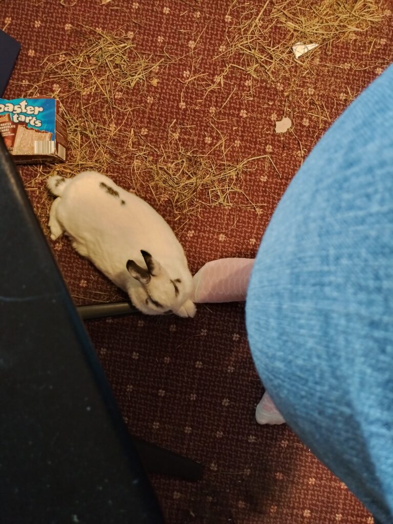 20210818_105515_HDR
